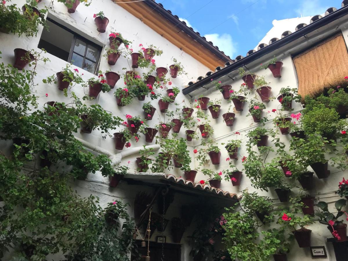 Aroma De Azahar, En San Basilio Córdoba Exterior foto